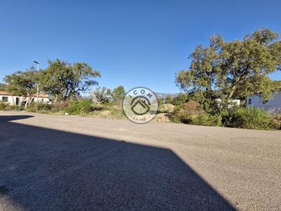 Acheter Terrain Figari Corse