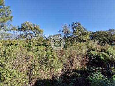 Acheter Terrain 587 m2 Figari