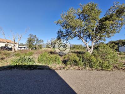 Acheter Terrain Figari Corse