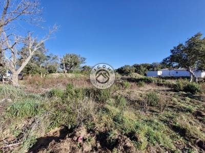 Acheter Terrain Figari 188500 euros