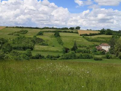 Acheter Maison Vic-fezensac Gers