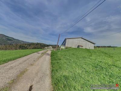 Annonce Vente 8 pices Maison Sainte-marie-aux-mines 68