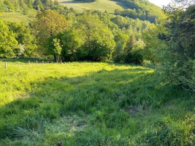 Acheter Maison Entraygues-sur-truyere 179500 euros