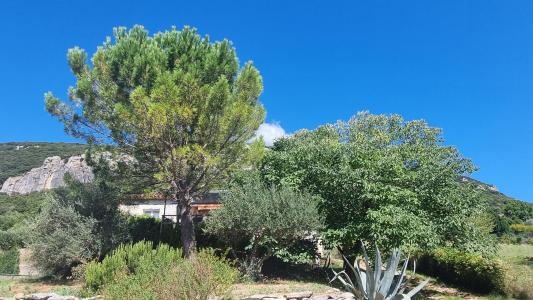 For sale Seynes 5 rooms 130 m2 Gard (30580) photo 2