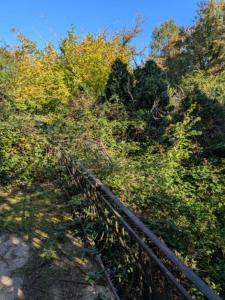 Acheter Maison Berlats Tarn