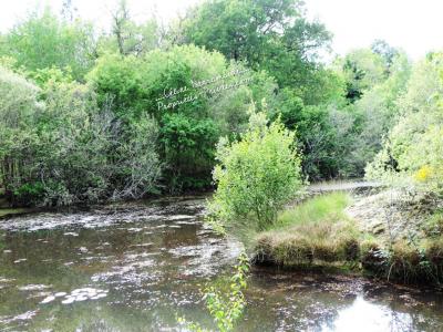 Acheter Maison 200 m2 Luglon