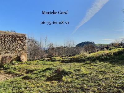 Annonce Vente 6 pices Maison Boisset 43