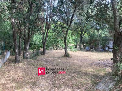 Acheter Maison Porto-vecchio 891000 euros