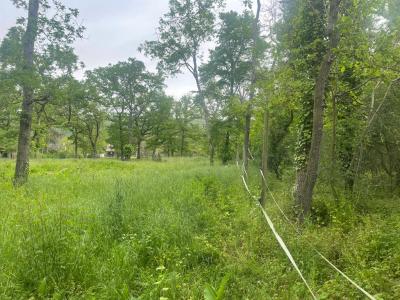 Annonce Vente Terrain Mousseaux-sur-seine 78