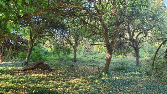 Acheter Maison Plouegat-guerand Finistere