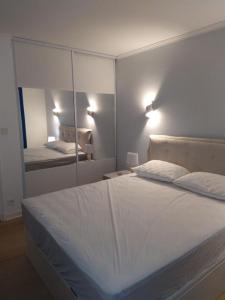 Acheter Appartement 49 m2 Amelie-les-bains