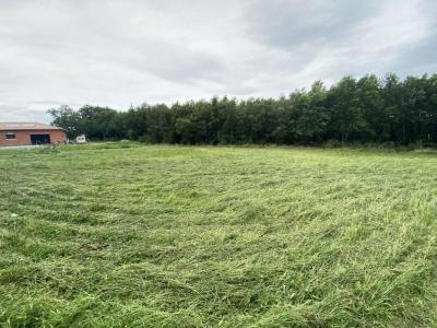 Annonce Vente Terrain Vic-fezensac 32