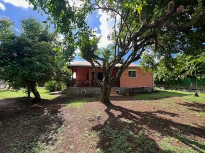 Acheter Maison 131 m2 Lamentin