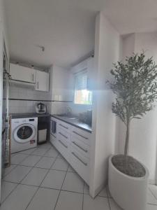 Annonce Location 2 pices Appartement Colomiers 31