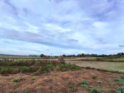 For sale CENTRE Rhone (69740) photo 2