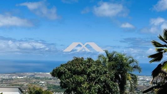 For sale Bois-de-nefles-saint-paul 350 m2 Reunion (97411) photo 0