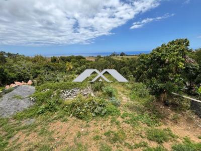 For sale Sainte-marie 443 m2 Reunion (97438) photo 0