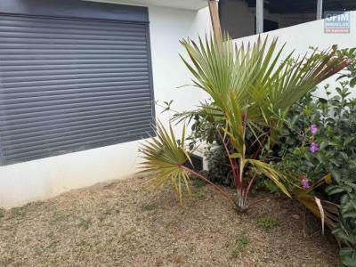 Acheter Bureau Saint-denis Reunion