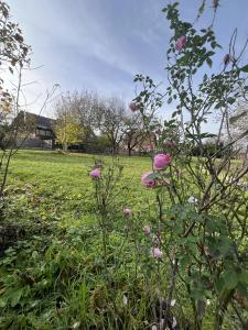 Annonce Vente 5 pices Maison Sundhouse 67