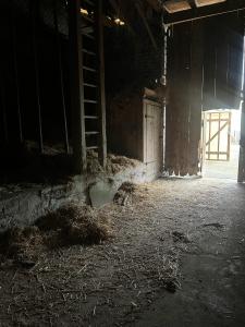 Acheter Maison 120 m2 Sundhouse