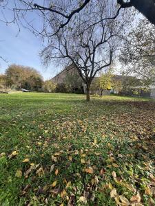 Acheter Maison Sundhouse Bas rhin