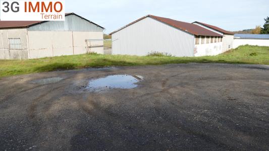 Annonce Vente Terrain Dogneville 88