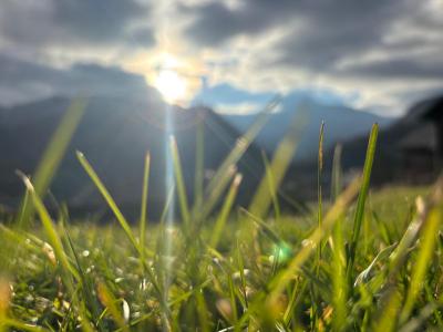 Annonce Vente Terrain Mieussy 74