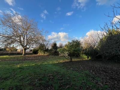 Annonce Vente 3 pices Maison Turquant 49