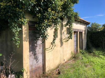Annonce Vente Terrain Sauveterre 30