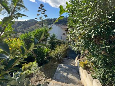 Annonce Vente 6 pices Maison Sant'andrea-di-cotone 20