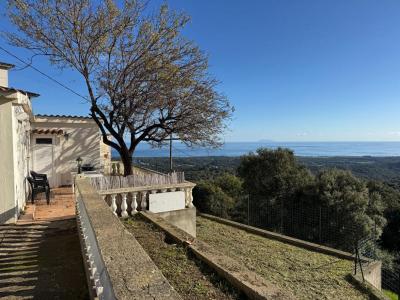 Acheter Maison Sant'andrea-di-cotone Corse