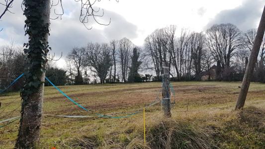 Annonce Vente Terrain Siorac-en-perigord 24