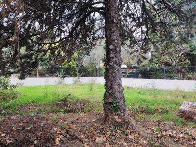 Acheter Terrain Saint-andre-de-sangonis