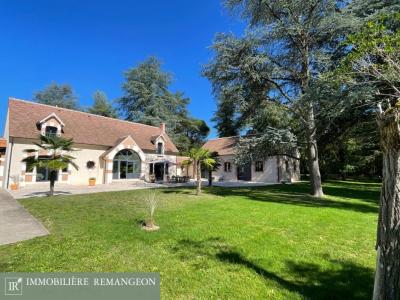 Annonce Vente Prestige Lamotte-beuvron 41