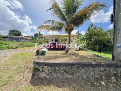 Acheter Maison Abymes Guadeloupe