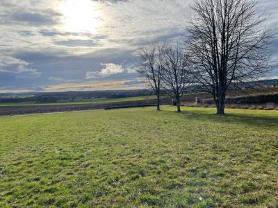 Acheter Maison Saone Doubs