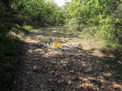 Acheter Terrain Rians Var