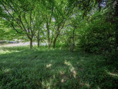 Annonce Vente Terrain Pian-medoc 33