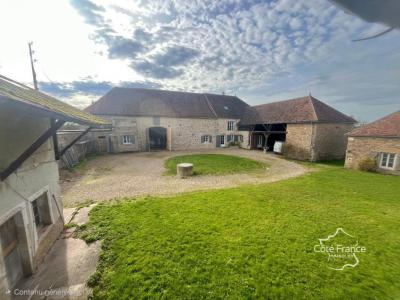 Annonce Vente 11 pices Maison Vic-de-chassenay 21