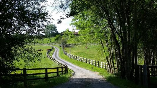 For sale Saint-germain-de-la-coudre 7 rooms 310 m2 Orne (61130) photo 0