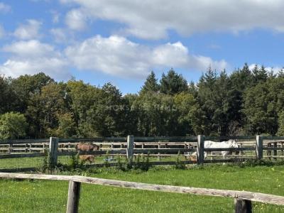 Acheter Maison Saint-germain-de-la-coudre 1800000 euros