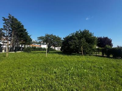 Acheter Maison Marennes Charente maritime