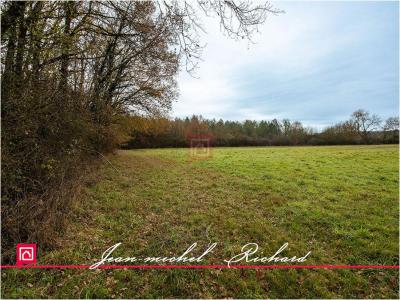 For sale Billy 24590 m2 Loir et cher (41130) photo 0