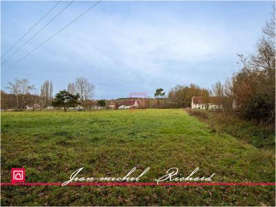 For sale Billy 24590 m2 Loir et cher (41130) photo 1