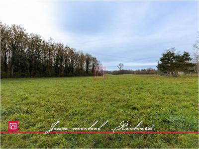 For sale Billy 24590 m2 Loir et cher (41130) photo 2