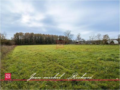For sale Billy 24590 m2 Loir et cher (41130) photo 3