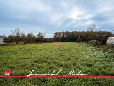 For sale Billy 24590 m2 Loir et cher (41130) photo 4