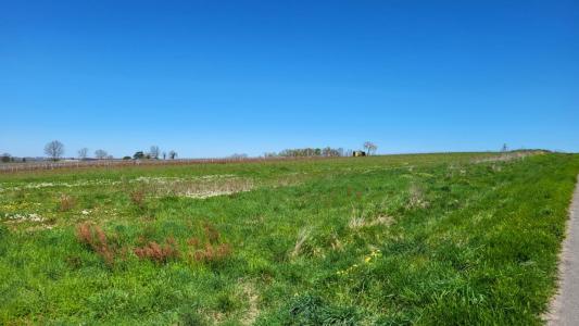 Annonce Vente Domaine forestier Pineuilh 33