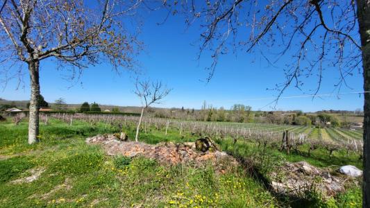 Annonce Vente 8 pices Maison Pineuilh 33