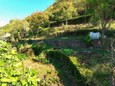 For sale Saint-affrique 8 rooms 154 m2 Aveyron (12400) photo 3